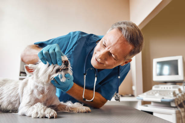 Best Emergency Treatment for Dental Infections or Abscesses in Oregon, WI